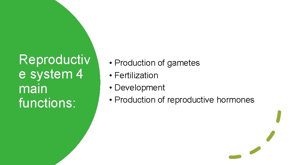 Reproductiv e system 4 main functions: • Production of gametes • Fertilization • Development