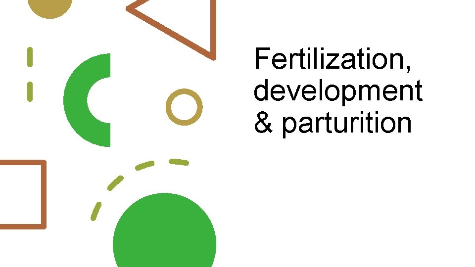 Fertilization, development & parturition 