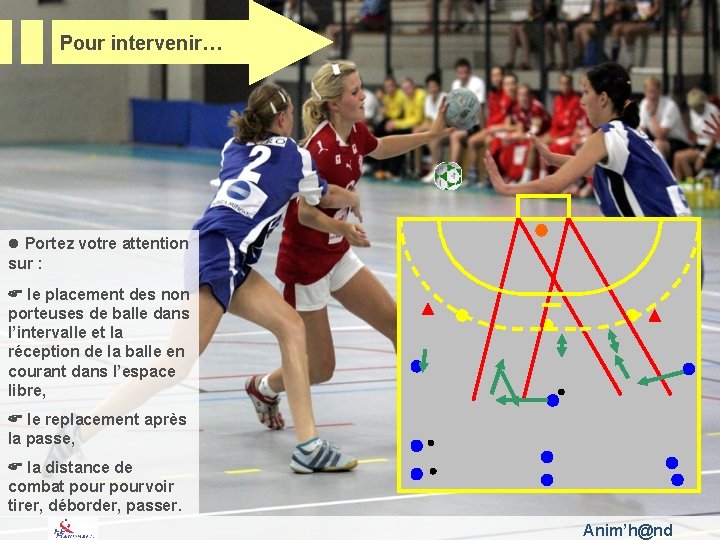 Pour intervenir… l Portez votre attention sur : le placement des non porteuses de