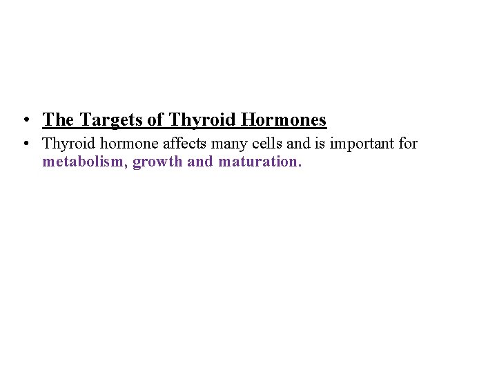  • The Targets of Thyroid Hormones • Thyroid hormone affects many cells and