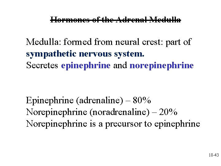 Hormones of the Adrenal Medulla: formed from neural crest: part of sympathetic nervous system.