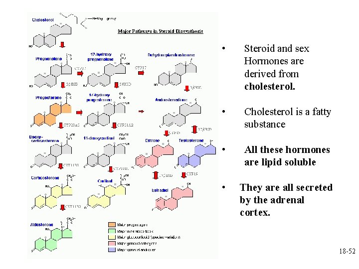  • Steroid and sex Hormones are derived from cholesterol. • Cholesterol is a