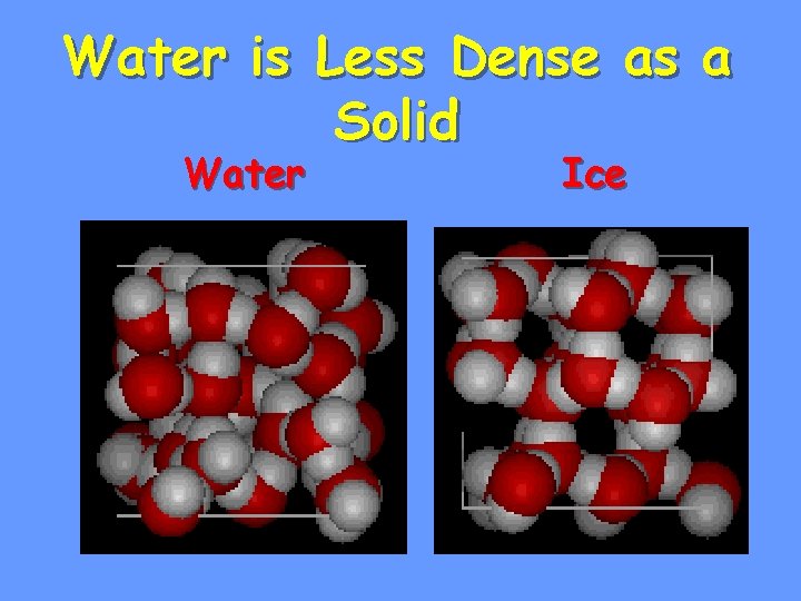 Water is Less Dense as a Solid Water Ice 