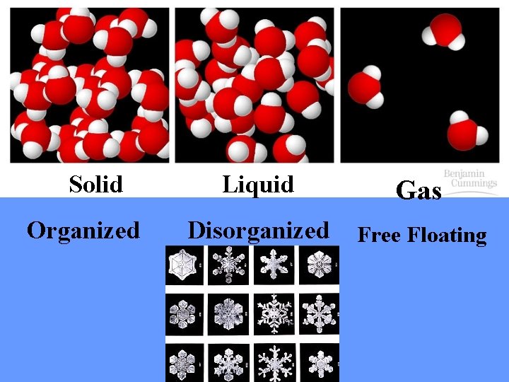 Solid Organized Liquid Gas Disorganized Free Floating 