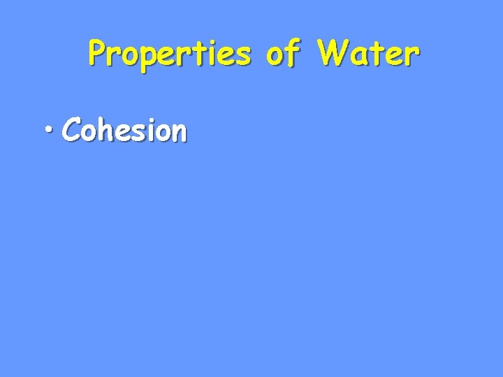 Properties of Water • Cohesion 