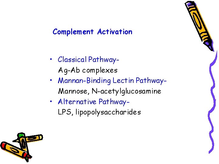 Complement Activation • Classical Pathway. Ag-Ab complexes • Mannan-Binding Lectin Pathway. Mannose, N-acetylglucosamine •