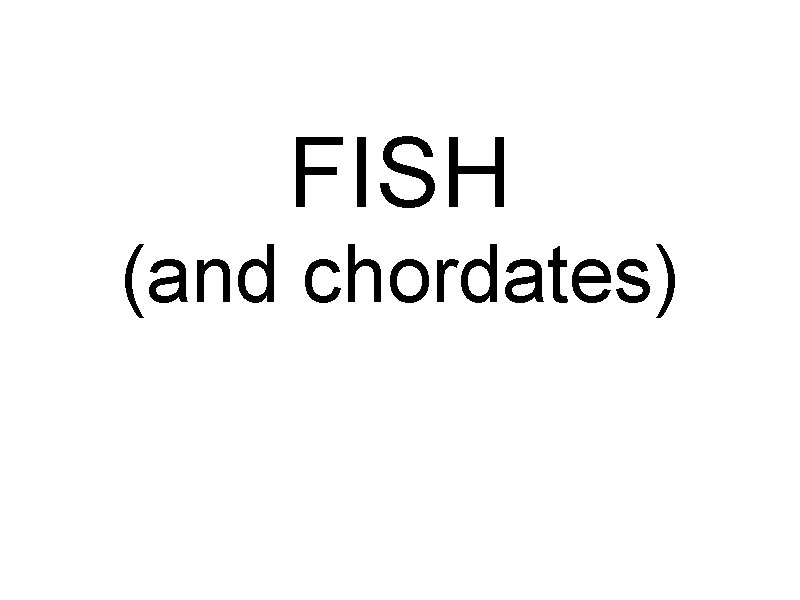 FISH (and chordates) 