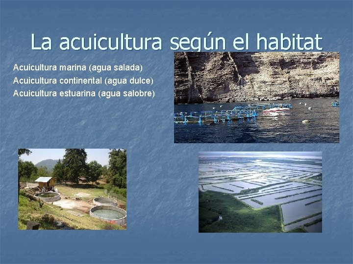 La acuicultura según el habitat Acuicultura marina (agua salada) Acuicultura continental (agua dulce) Acuicultura