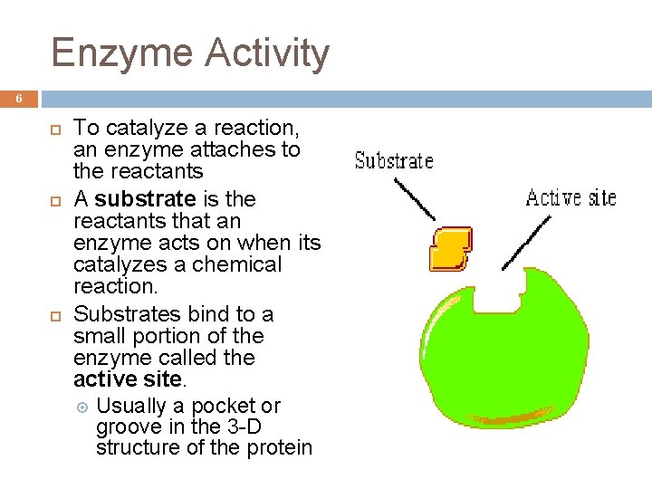 Enzyme Activity 6 To catalyze a reaction, an enzyme attaches to the reactants A