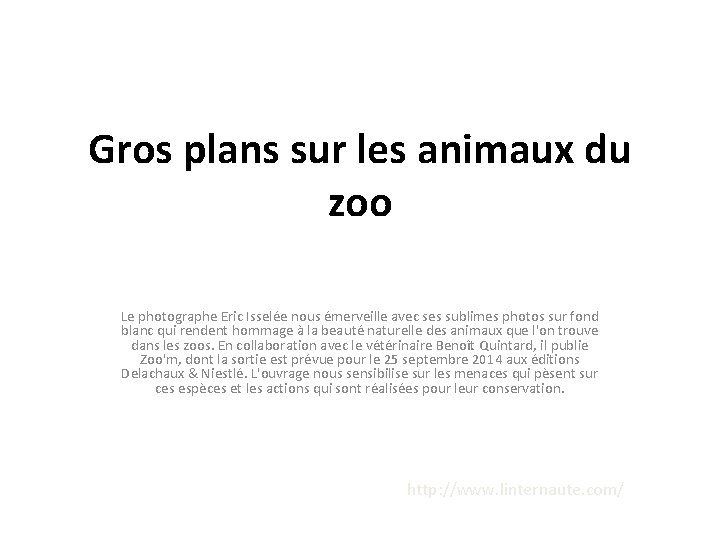 Gros plans sur les animaux du zoo Le photographe Eric Isselée nous émerveille avec