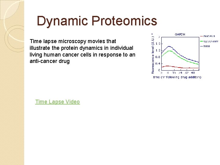 Dynamic Proteomics Time lapse microscopy movies that illustrate the protein dynamics in individual living