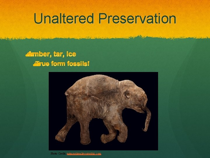 Unaltered Preservation Photo Credit: ngm. nationalgeographic. com 