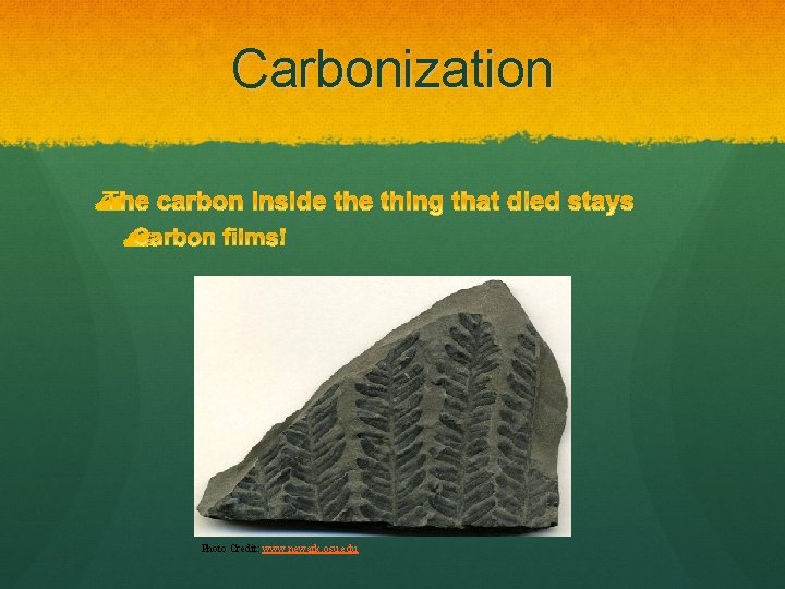 Carbonization Photo Credit: www. newark. osu. edu 
