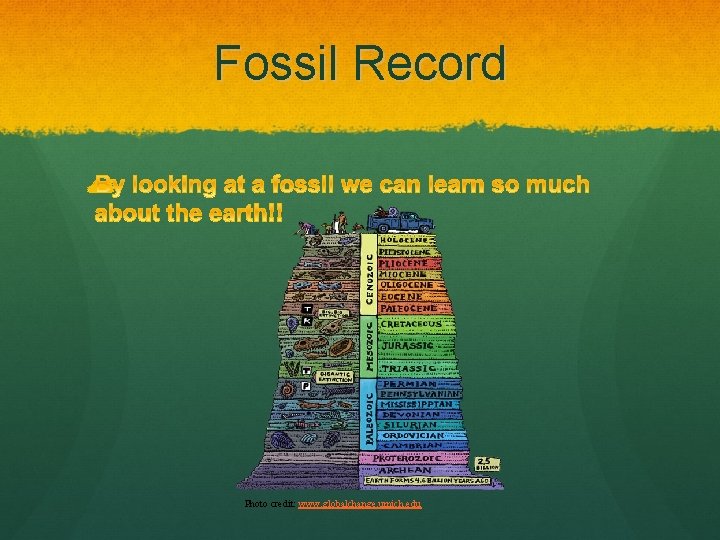 Fossil Record Photo credit: www. globalchange. umich. edu 