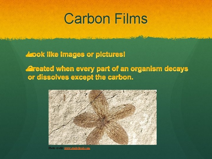 Carbon Films Photo credit: www. studydroid. com 