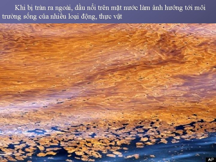 Khi bị tràn ra ngoài, dầu nổi trên mặt nước làm ảnh hưởng tới