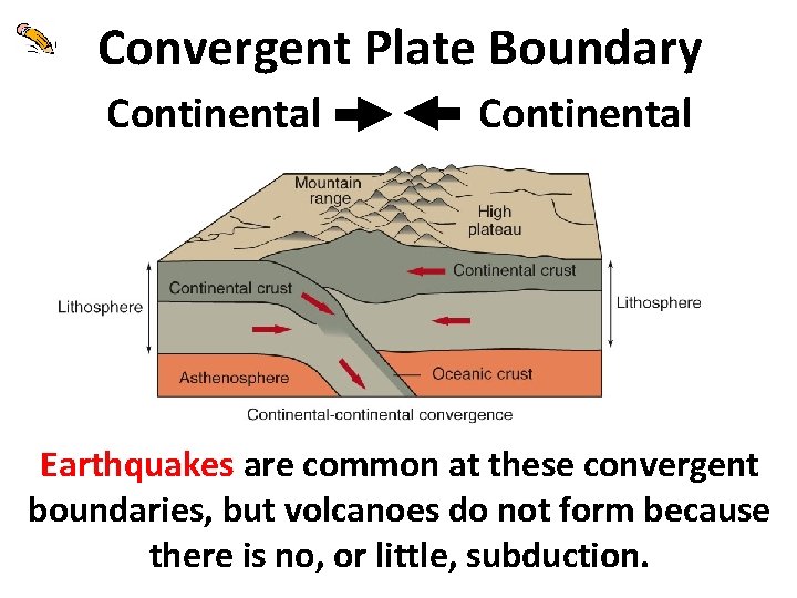 Convergent Plate Boundary Continental Earthquakes are common at these convergent boundaries, but volcanoes do