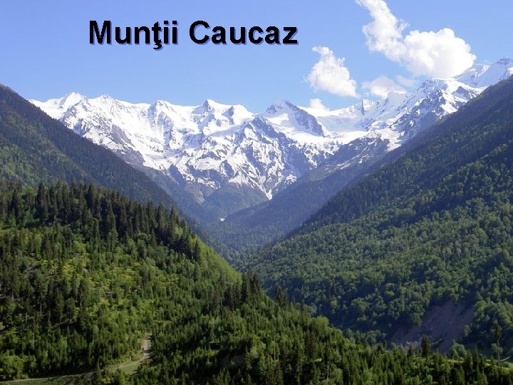 Munţii Caucaz 