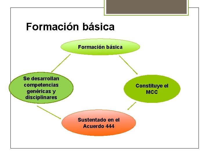 Formación básica Se desarrollan competencias genéricas y disciplinares Constituye el MCC Sustentado en el