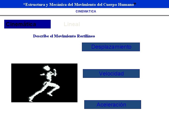 “Estructura y Mecánica del Movimiento del Cuerpo Humano” CINEMATICA Cinemática Lineal Describe el Movimiento