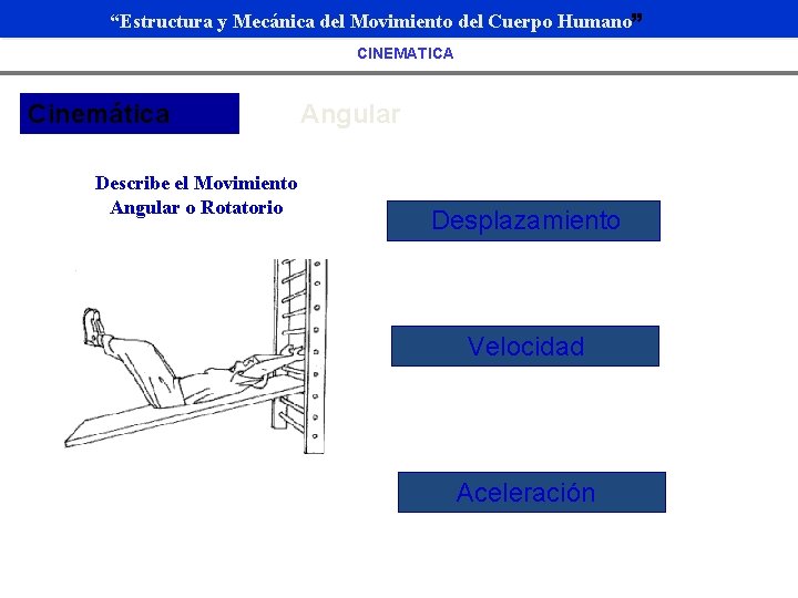 “Estructura y Mecánica del Movimiento del Cuerpo Humano” CINEMATICA Cinemática Describe el Movimiento Angular