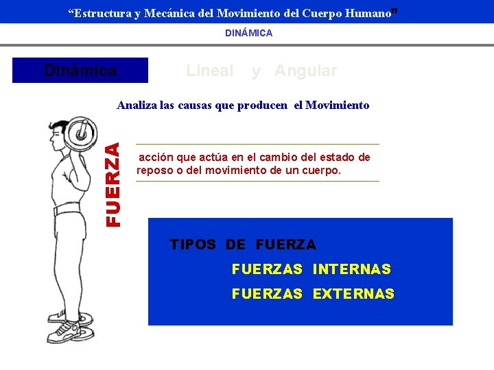 “Estructura y Mecánica del Movimiento del Cuerpo Humano” DINÁMICA Dinámica Lineal y Angular FUERZA