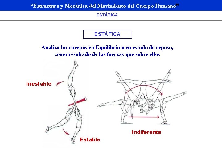 “Estructura y Mecánica del Movimiento del Cuerpo Humano” ESTÁTICA Analiza los cuerpos en Equilibrio