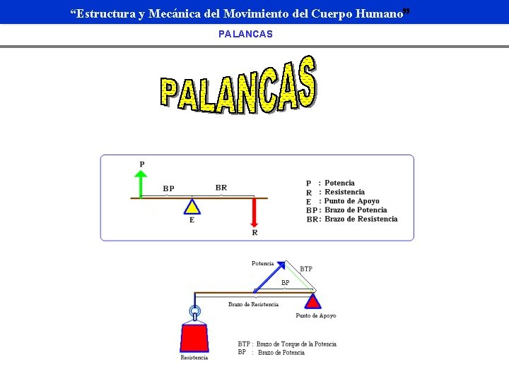 “Estructura y Mecánica del Movimiento del Cuerpo Humano” PALANCAS 