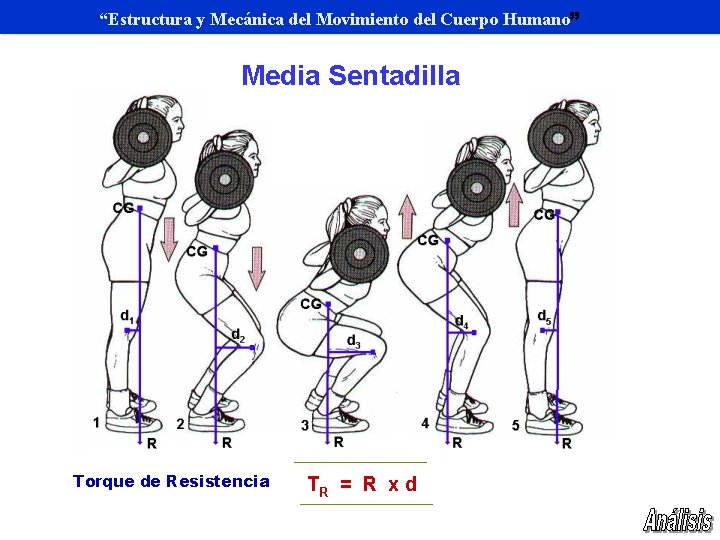 “Estructura y Mecánica del Movimiento del Cuerpo Humano” Media Sentadilla CGC Torque de Resistencia