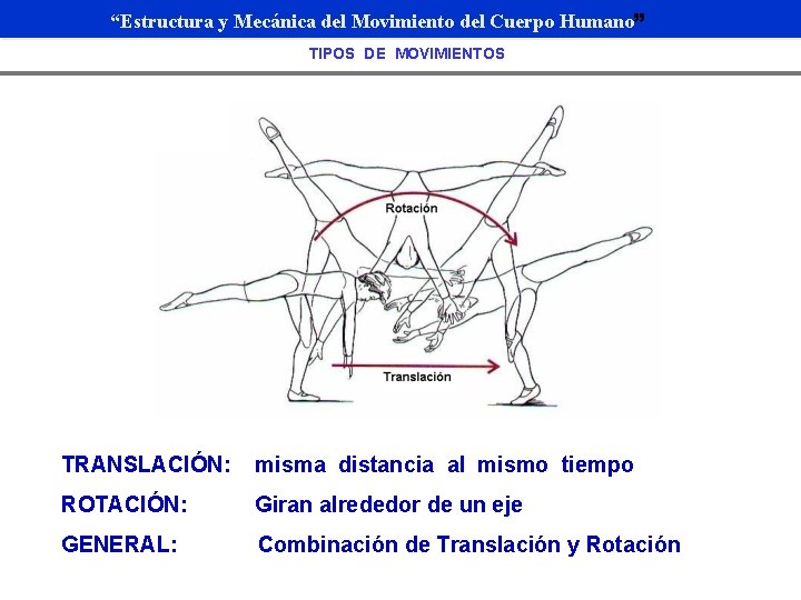 “Estructura y Mecánica del Movimiento del Cuerpo Humano” TIPOS DE MOVIMIENTOS TRANSLACIÓN: misma distancia