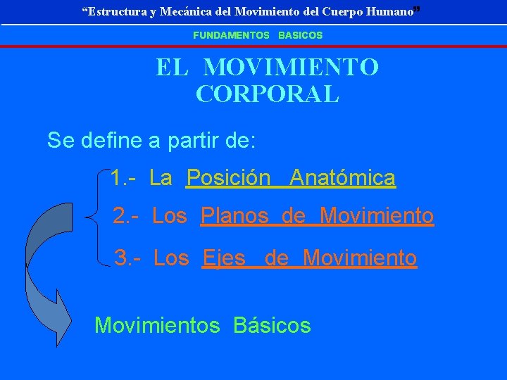 “Estructura y Mecánica Movimiento Cuerpo Humano” “Estructura y Mecánica deldel Movimiento deldel Cuerpo Humano”