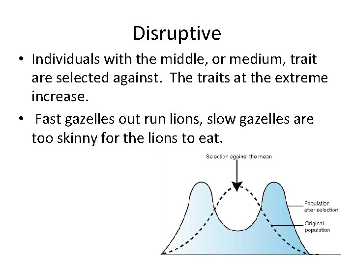 Disruptive • Individuals with the middle, or medium, trait are selected against. The traits