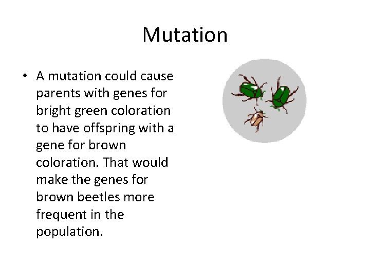 Mutation • A mutation could cause parents with genes for bright green coloration to