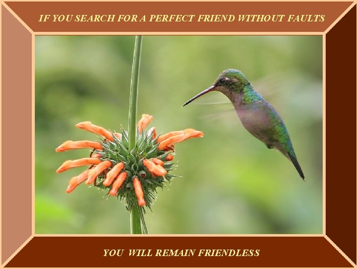 IF YOU SEARCH FOR A PERFECT FRIEND WITHOUT FAULTS YOU WILL REMAIN FRIENDLESS 