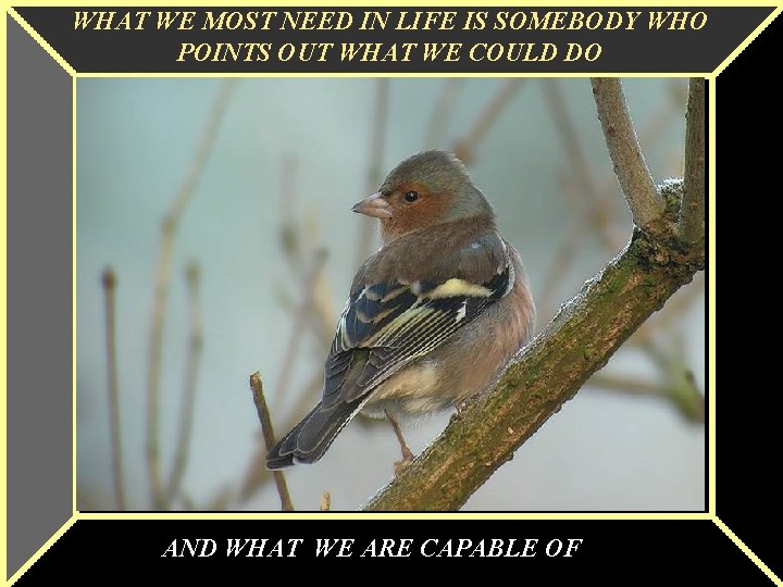 WHAT WE MOST NEED IN LIFE IS SOMEBODY WHO POINTS OUT WHAT WE COULD WHAT WE MOST NEED IN LIFE IS SOMEBODY WHO POINTS OUT WHAT WE COULD