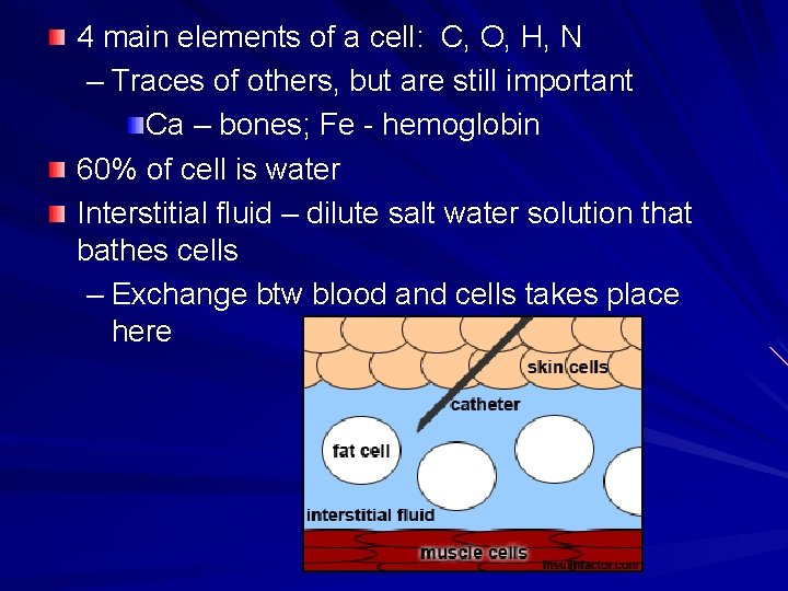 4 main elements of a cell: C, O, H, N – Traces of others, 4 main elements of a cell: C, O, H, N – Traces of others,