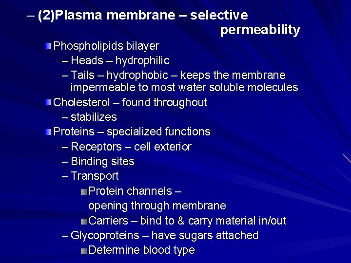 – (2)Plasma membrane – selective permeability Phospholipids bilayer – Heads – hydrophilic – Tails – (2)Plasma membrane – selective permeability Phospholipids bilayer – Heads – hydrophilic – Tails