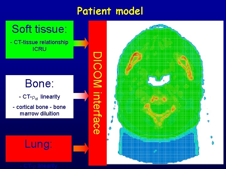 Patient model Soft tissue: Bone: - CT- el linearity - cortical bone - bone