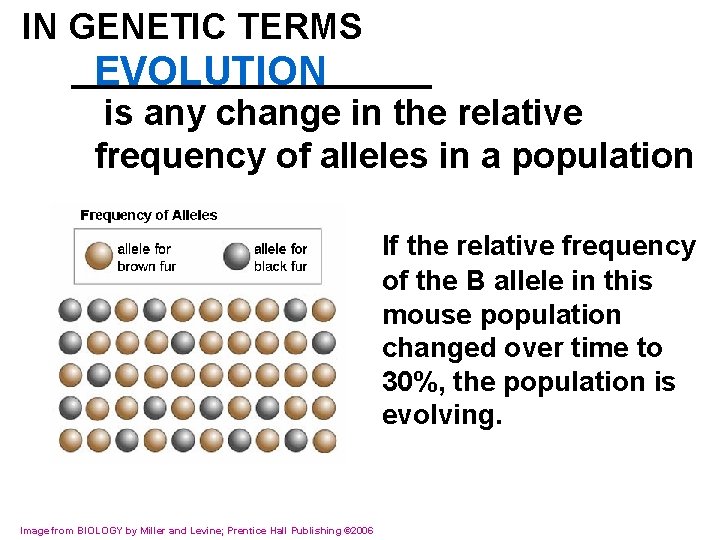 IN GENETIC TERMS _________ EVOLUTION is any change in the relative frequency of alleles