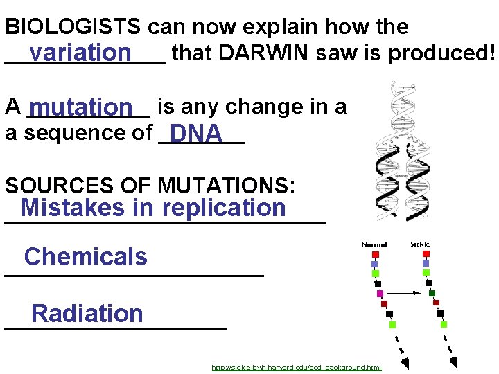 BIOLOGISTS can now explain how the _______ that DARWIN saw is produced! variation A