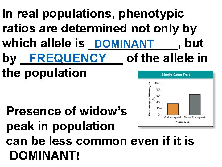 In real populations, phenotypic ratios are determined not only by which allele is _______,
