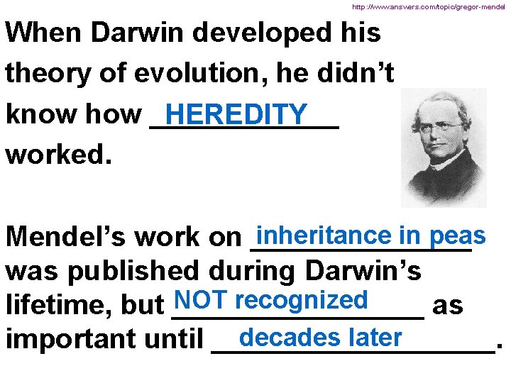 http: //www. answers. com/topic/gregor-mendel When Darwin developed his theory of evolution, he didn’t know