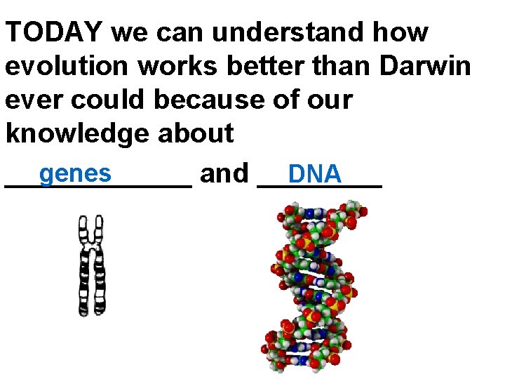 TODAY we can understand how evolution works better than Darwin ever could because of