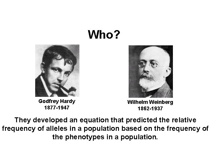 Hardy & Weinberg Who? Godfrey Hardy 1877 -1947 Wilhelm Weinberg 1862 -1937 They developed