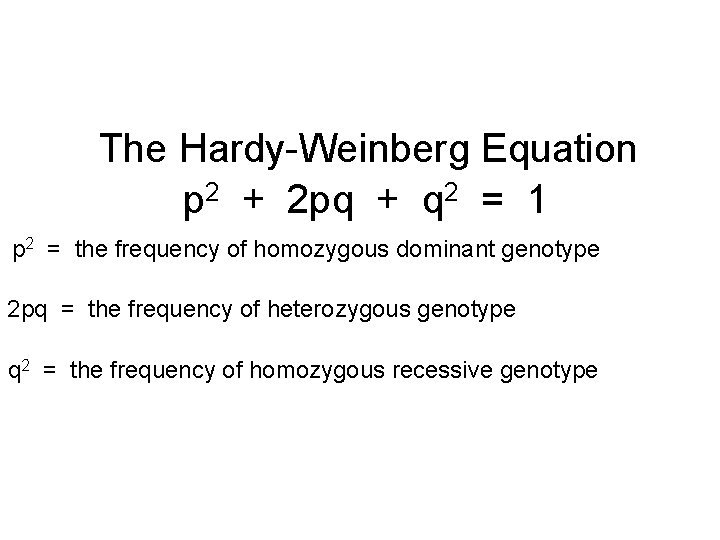 Gene Frequency & the Hardy-Weinberg Equation The Hardy-Weinberg Equation p 2 + 2 pq