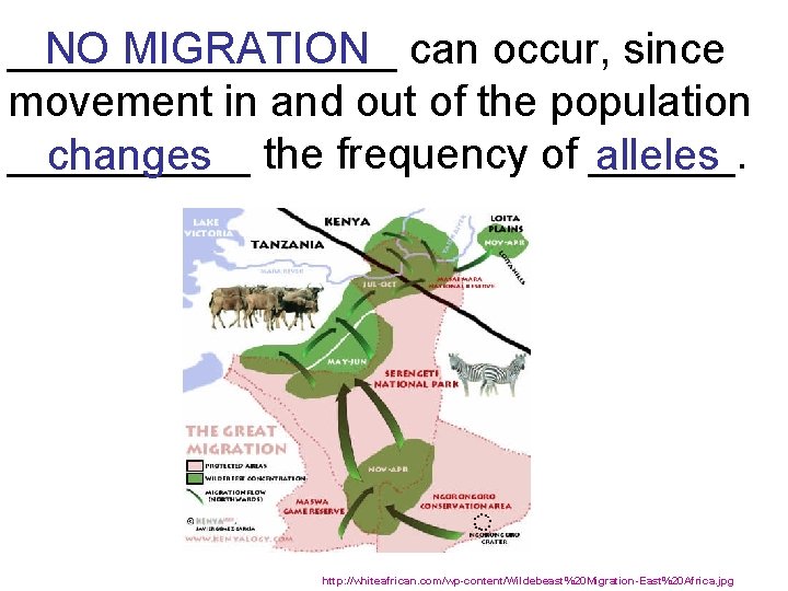________ NO MIGRATION can occur, since movement in and out of the population _____