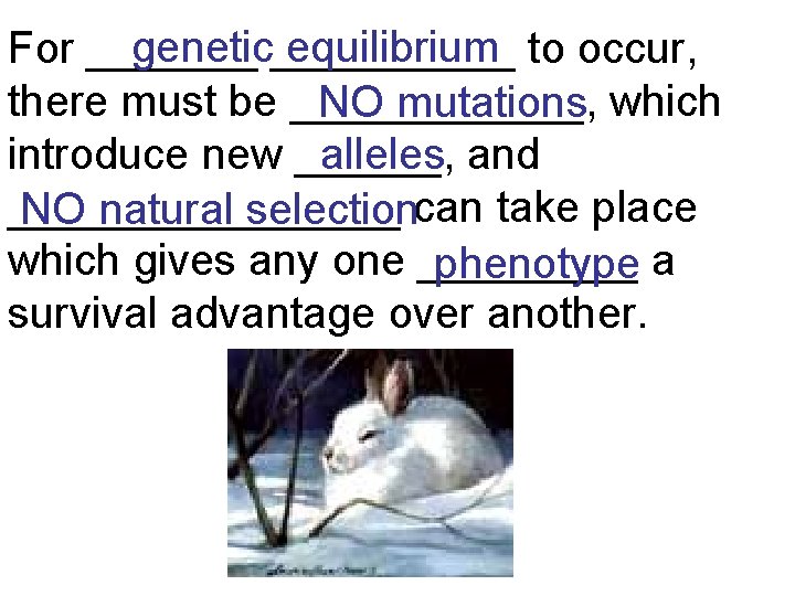 genetic_____ equilibrium to occur, For _______ there must be ______, NO mutations which introduce