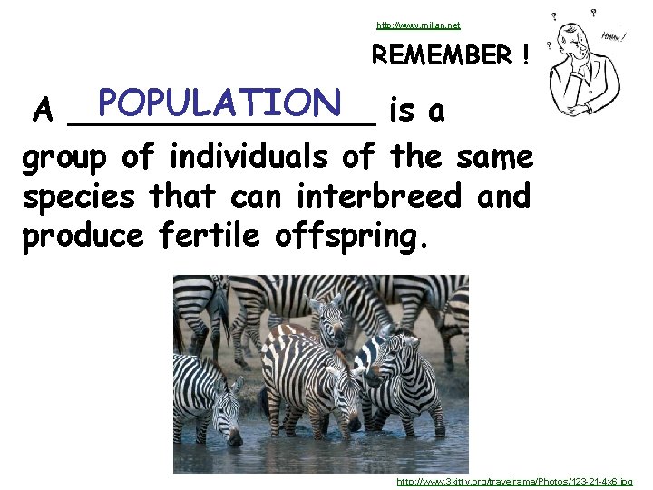 http: //www. millan. net REMEMBER ! POPULATION is a A ________ group of individuals