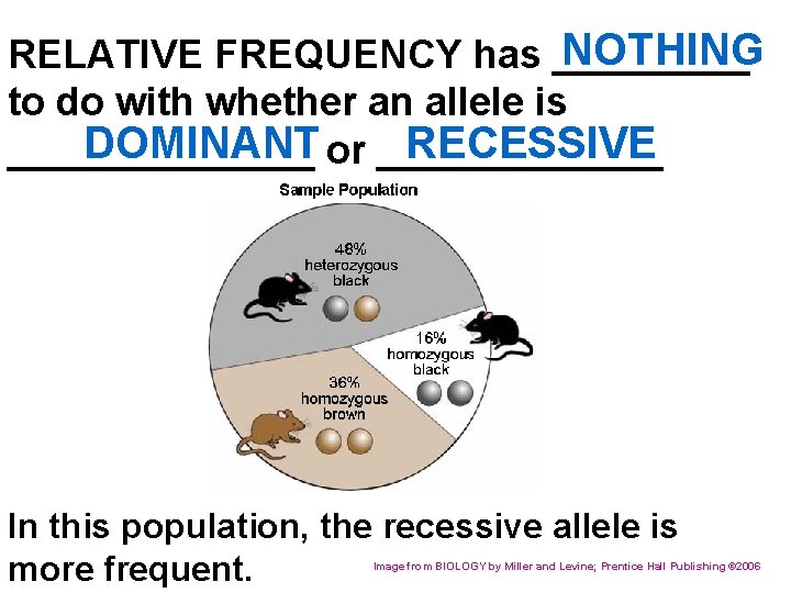 NOTHING RELATIVE FREQUENCY has _____ to do with whether an allele is DOMINANT or