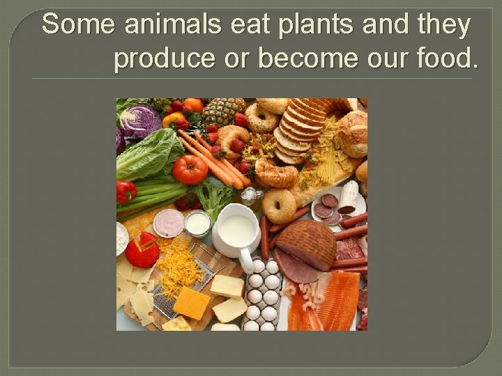 Some animals eat plants and they produce or become our food. 